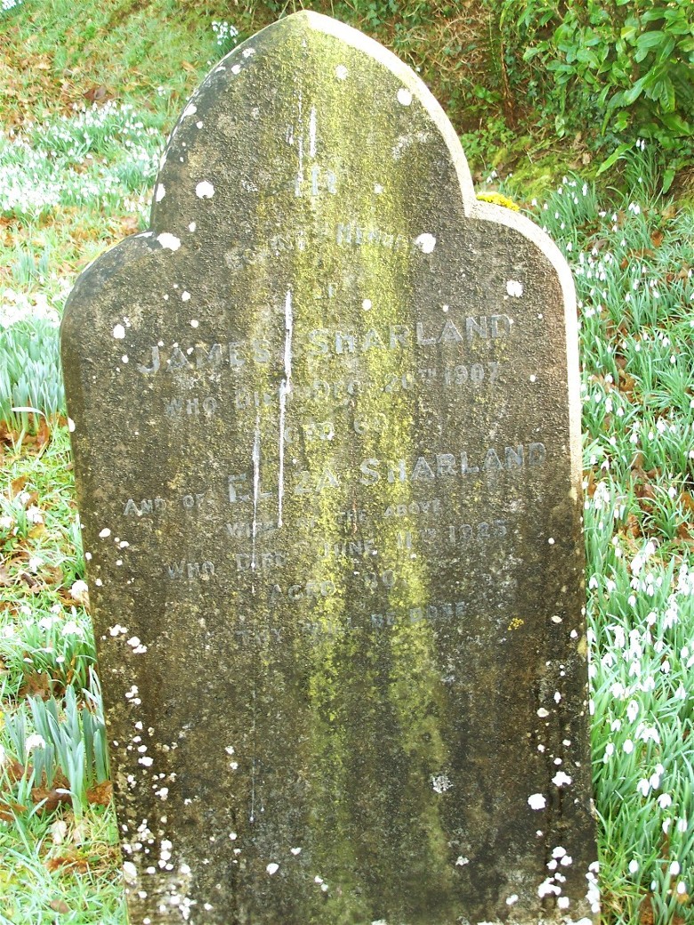 james and elza sharland's grave